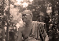 Ajahn Chah - smiling in the Forest
